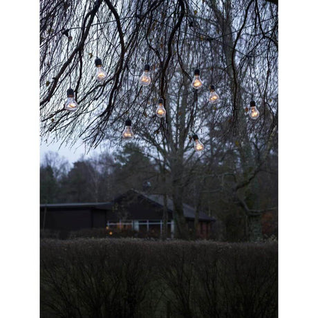 LED Lichtervorhang 10 klare Birnen 80 bernsteinfarbene Dioden IP44 hängend an Bäumen im Garten.