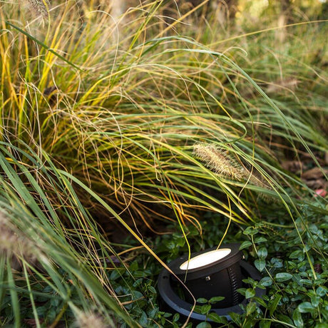 LED Arctic recessed floor light, swiveling, IP67, black in green garden soil with shrubs and grasses.