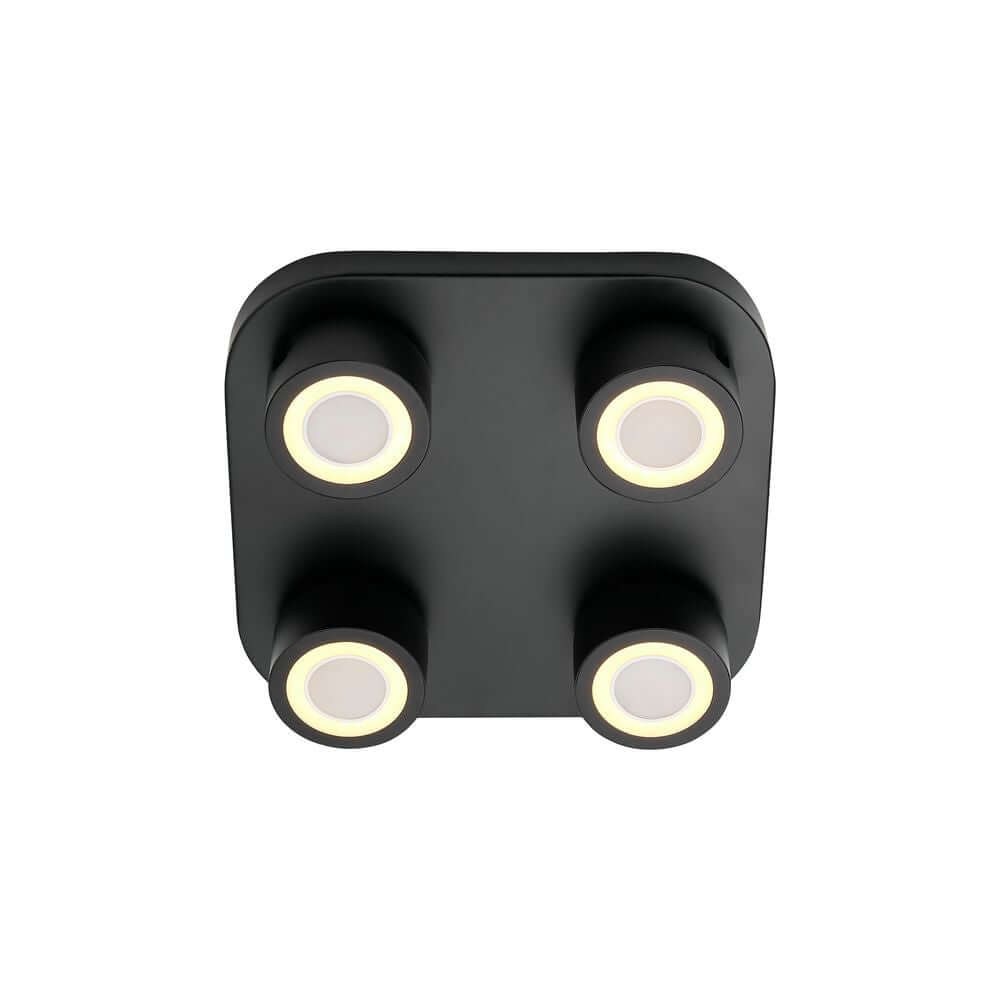 LED Deckenleuchte Clyde 4-Spot mit vier runden Leuchtern in modernem Design
