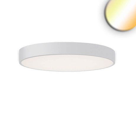 LED Deckenleuchte Meda Ø 80cm ColorSwitch 2700-4000K Dimmbar mit elegantem Design in weiss-matt.