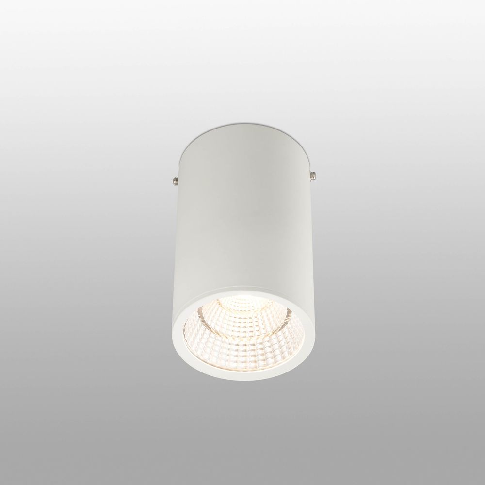 LED Deckenspot REL 25W 2700K 60° Weiß