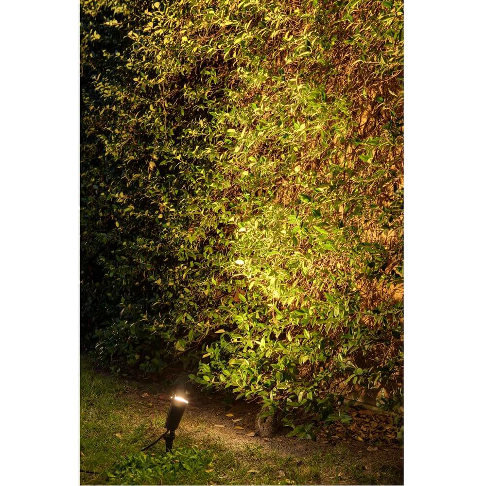LED Gartenspot TONI mit Erdspieß IP65 Schwarz Küstenleuchte beleuchtet eine grüne Hecke im Garten.