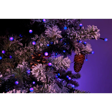 LED Globe lyskæde runde dioder 80 lilla dioder IP44 på et juletræ med grangrene.