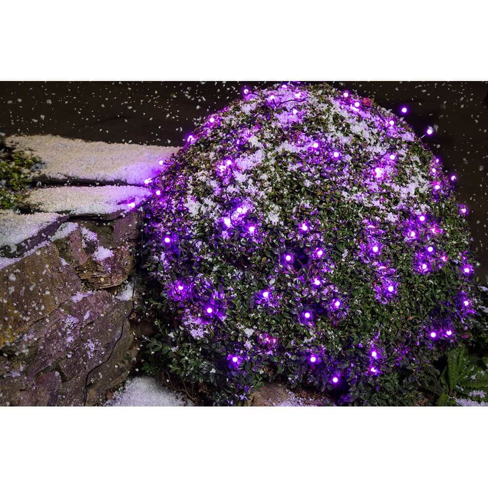 LED Globelichterkette runde Dioden 80 purpurfarbene Dioden IP44 leuchtet auf einem schneebedeckten Busch.