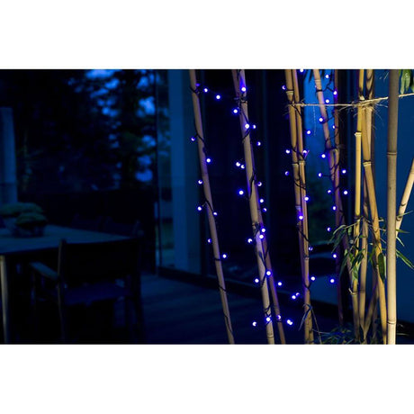 LED Globe lyskæde runde dioder 80 lilla dioder IP44 i skumringen på bambusstammer.