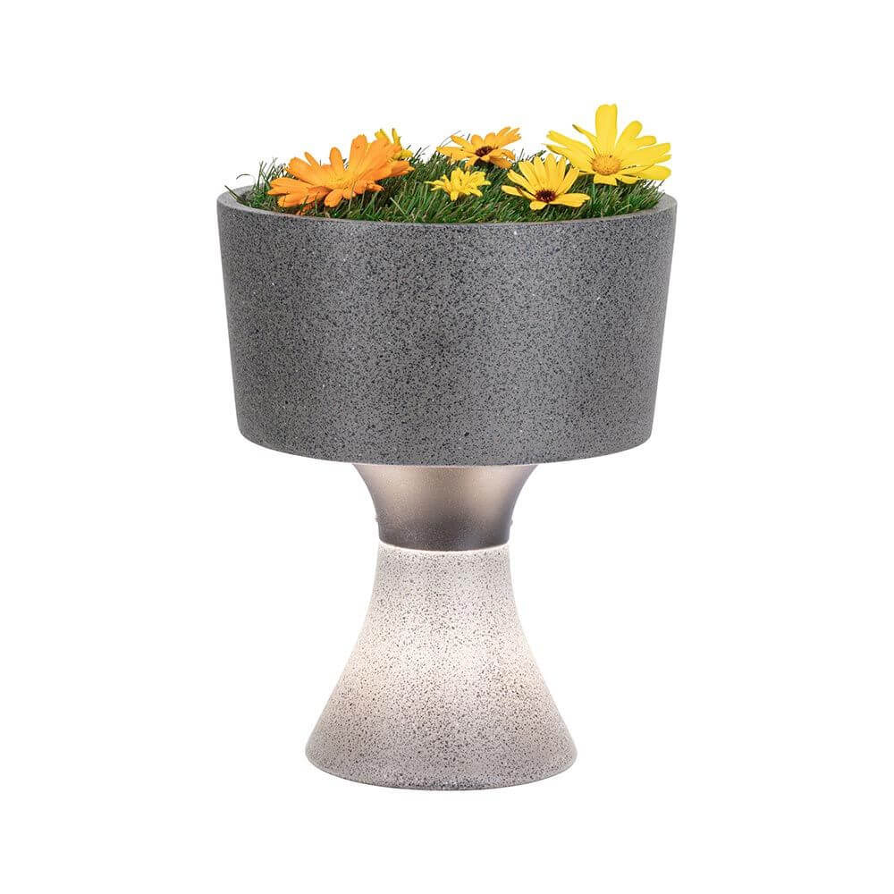 LED Pflanzkübel Concrea Schwarzer Sandstein IP65 mit bunten Blumen und warmweißem Licht.