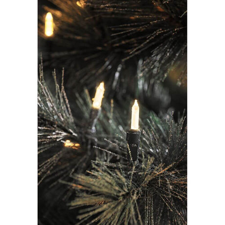 LED Mini string lights with 20 warm white diodes IP44 on black fir branches, festive lighting for outdoor areas.