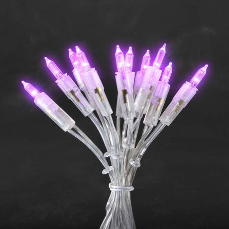 LED Minilichterkette 35 purpurfarbene Dioden mit leuchtenden, filigranen Lichtern auf klarem Kabel.