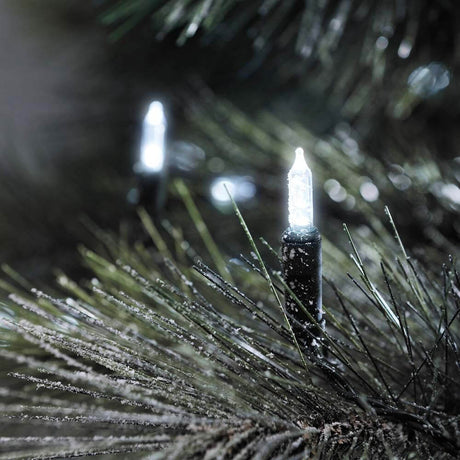 LED Mini fairy lights 40 kølige hvide dioder IP44 på grangrene, strålende og festlig.
