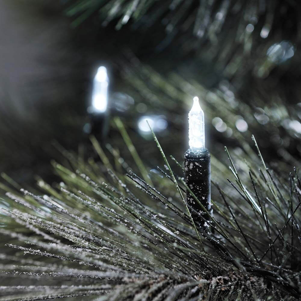 LED Minilichterkette 40 Kaltweiße Dioden IP44 auf Tannenzweigen, strahlend und festlich.