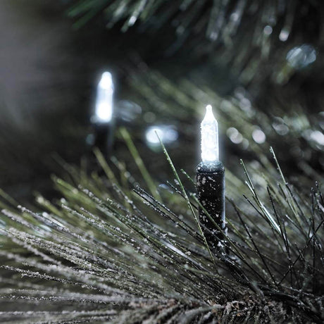 LED Mini fairy lights 80 kølige hvide dioder IP44 på et stedsegrønt træ, ideel til festlig dekoration.