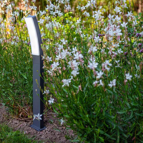 LED-Wegeleuchte Kira 4000K in einem blühenden Garten mit weißen Blumen.