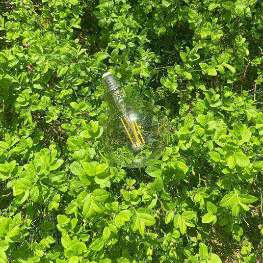 Glühbirne auf grünem Pflanzenhintergrund, symbolisiert natürliche Energie und Nachhaltigkeit.