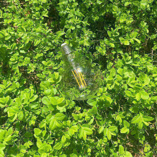 Glühbirne auf grünem Pflanzenhintergrund, symbolisiert natürliche Energie und Nachhaltigkeit.