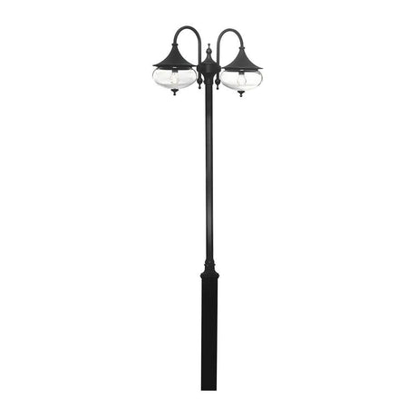 Libra Leuchtenkopf 2-tlg. für Mastleuchte Schwarz, klares Glas auf einer eleganten Straßenlaterne.