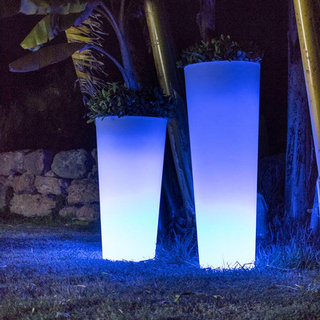 Ficus lysere LED Urtepotte med batteri og fjernbetjening om natten, oplyst i blåt.