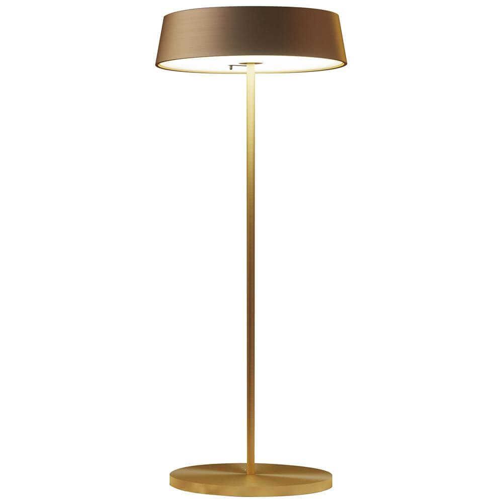 Moderne goldene Stehlampe mit braunem Lampenschirm für stilvolle Beleuchtung in jedem Raum.