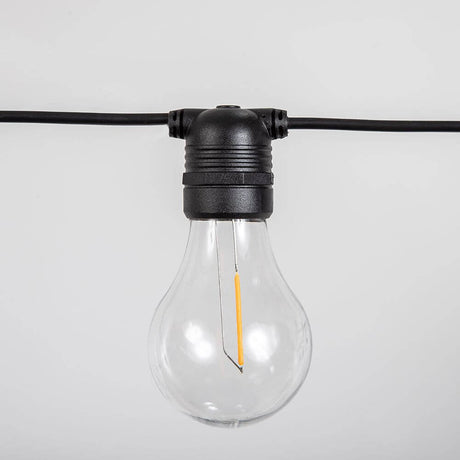LED-Allegra garland 10-light black light source with transparent bulb design.
