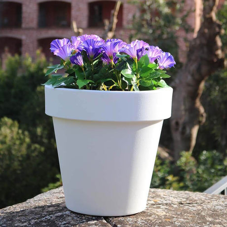 Magnolia Mini LED opplyst blomsterpotte med batteri med lilla blomster i en hvit potte utendørs.