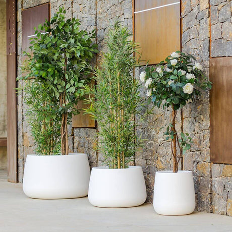 LED solar decorative pot Camelia color change in white pots with various plants, ideal for Mediterranean designs.