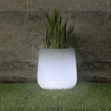 LED solar decorative pot Camelia color change with plants, sturdy and ideal for outdoor use.