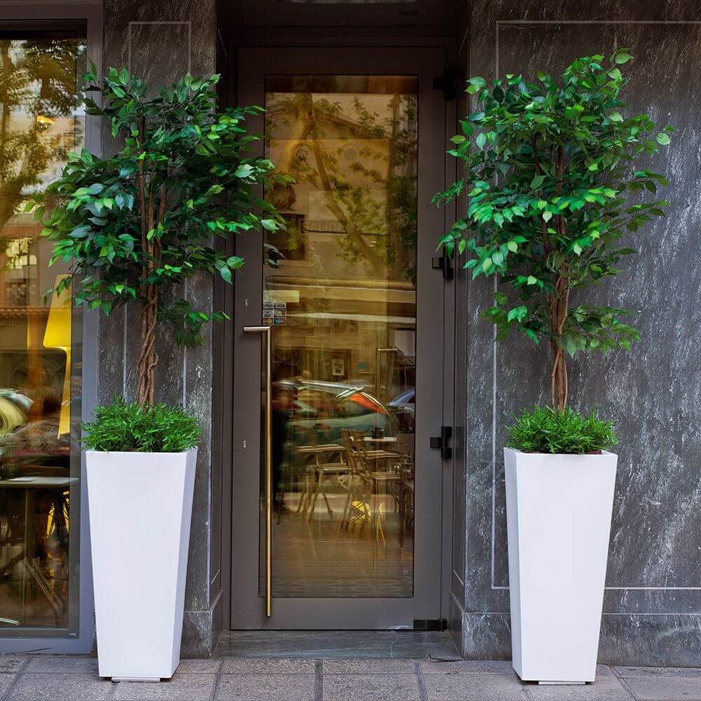 Zwei trapezförmige Pflanzgefäße mit Bäumen neben Eingangstür, elegantes Design mit grünem Blattwerk.