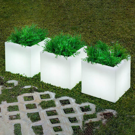 Narciso solpotte med batteri Big - tre lyse firkantede plantekasser med grønt planteindhold i haven.