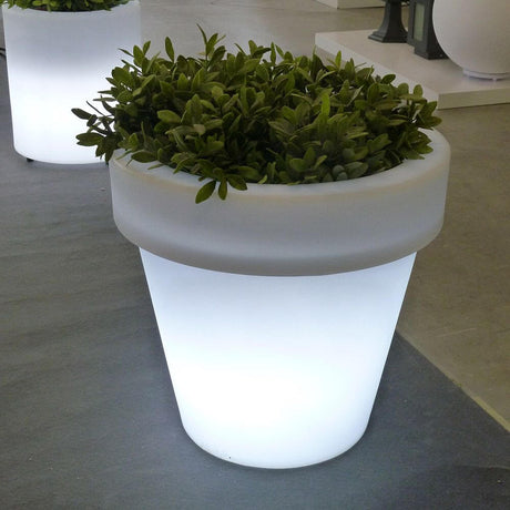 Oplyst urtepotte Magnolia Mini med grønne planter, perfekt til atmosfærisk havebelysning.