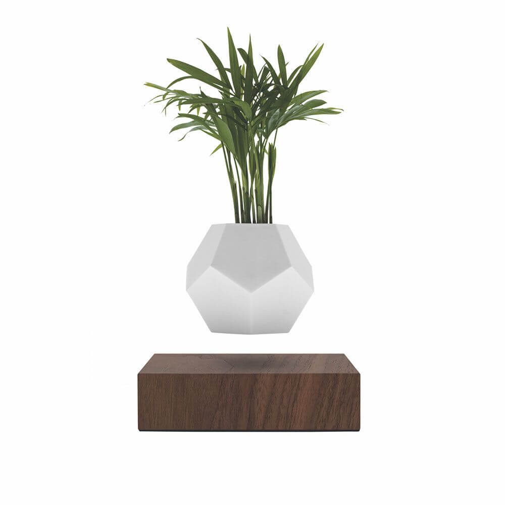 Lyfe Dekoplatte mit schwebendem Topf auf einem Holzsockel mit einer Pflanze oben, stilvolles Design.