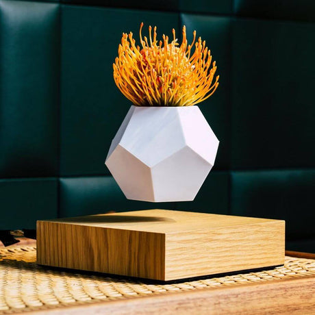 Lyfe decorative plate with floating pot on oak base with rotating plant for atmospheric decoration.