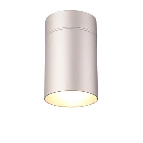 Spot cylindrique Aruba Grand de forme ronde et épurée en métal et en plastique, source de lumière fiable.