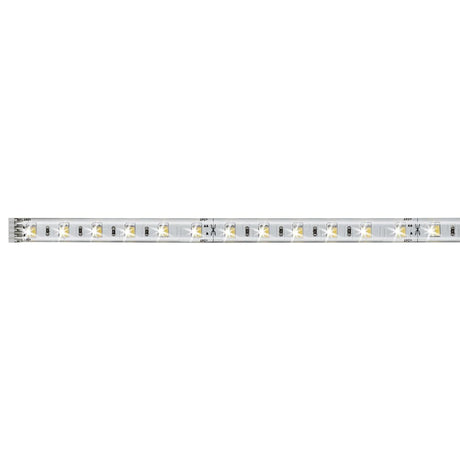 Bande LED MaxLED Tunable White revêtue 1 m 7 W avec commande de la lumière blanche