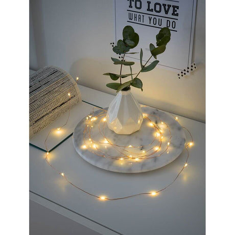2m Micro LED Lichterkette Timer 20 Warmweiße Dioden batteriebetrieben kupferfarbener Draht mit dekorativem Vase und Pflanzen.