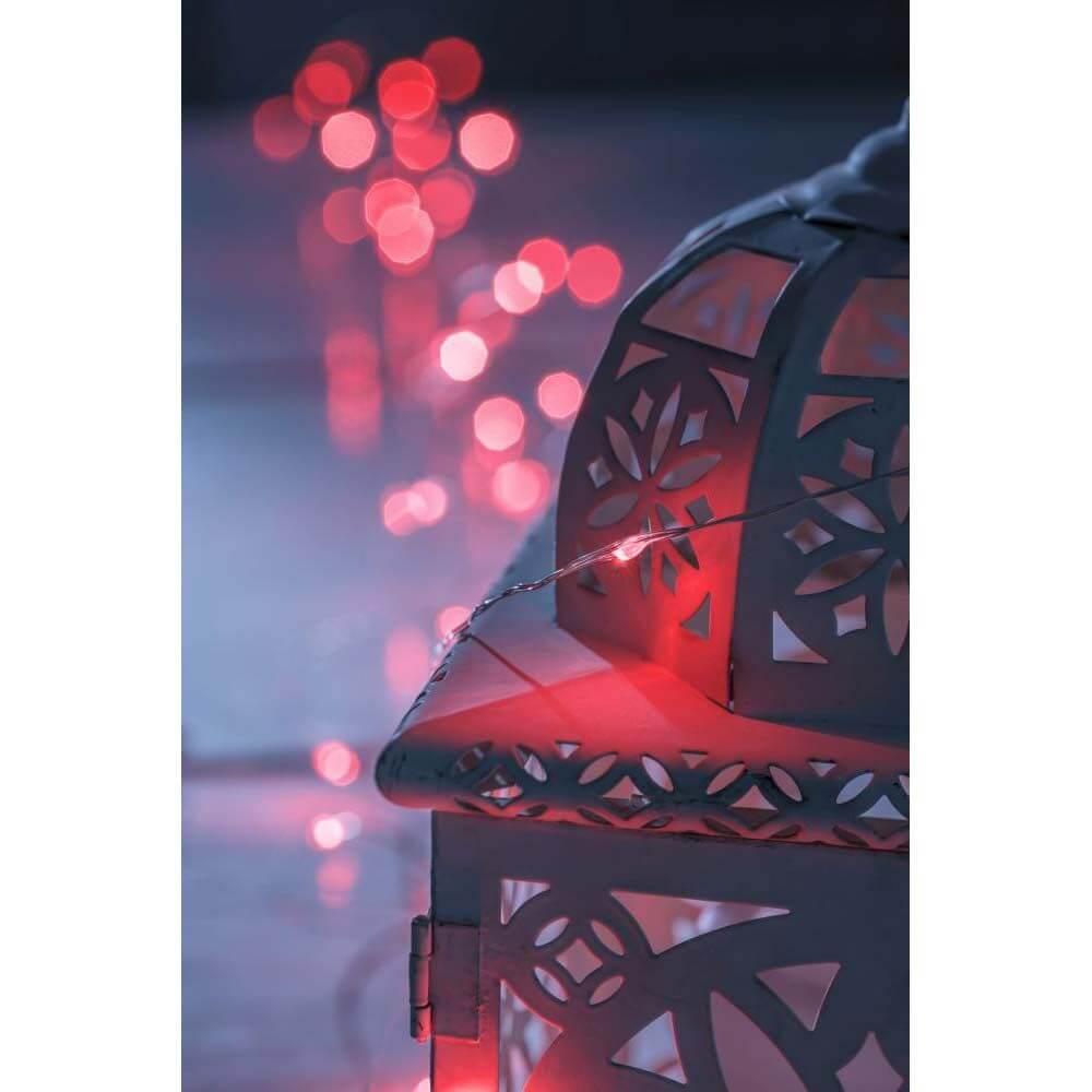 15m Micro LED Lichterkette mit langsamen RGB-Farbwechsel 100 RGB Dioden in einer dekorativen Umgebung.