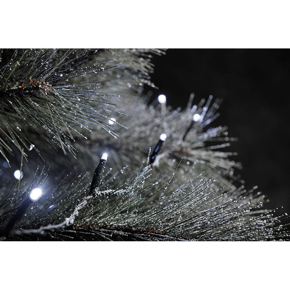 Nahaufnahme einer Tanne mit Mikro-LED Lichtern in Kaltweiß, die funkelndes Licht reflektieren.