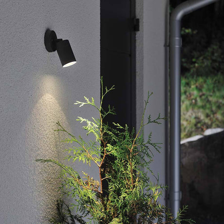 Modena faretti a parete a risparmio energetico orientabili neri, vetro chiaro su una parete con illuminazione per piante.