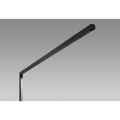 Lens Stehleuchte in Schwarz, minimalistisches Design mit dimmbarem Licht für optimale Bürobeleuchtung.