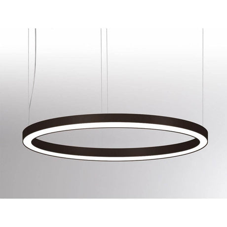 Rinq LED-ringpendellampe Ø 300 cm svart DALI-dimmbar, moderne aluminiumsarmatur med jevn lysfordeling.
