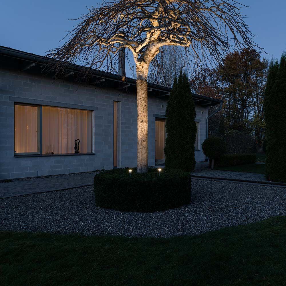 Monza LED Erdspießleuchten Set 2-tlg. 12V beleuchten einen Baum im Garten bei Nacht.