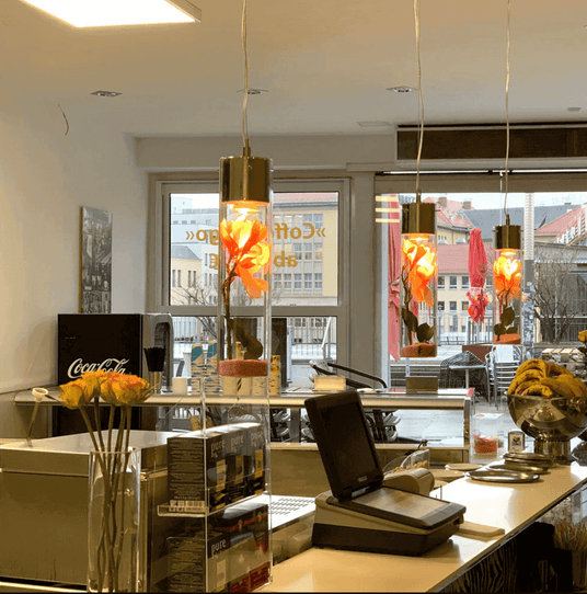 Moderne Café-Theke mit beleuchteten Lampen und einem herzlichen Ambiente in der Innenstadt.