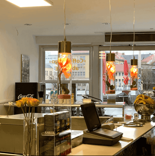 Moderne Café-Theke mit beleuchteten Lampen und einem herzlichen Ambiente in der Innenstadt.