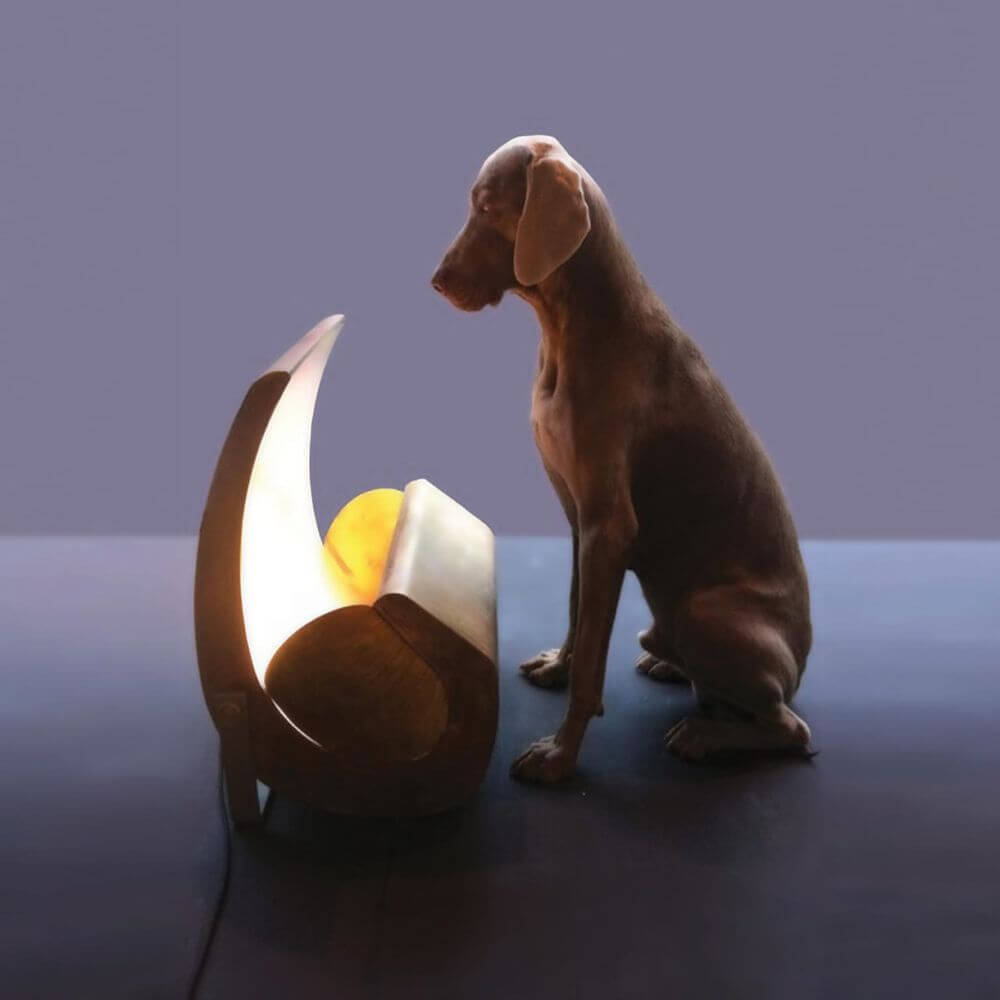 Nemo Escargot Tisch- & Bodenleuchte Limitiert mit Hund, designorientierte Beleuchtung, moderne Tischleuchte