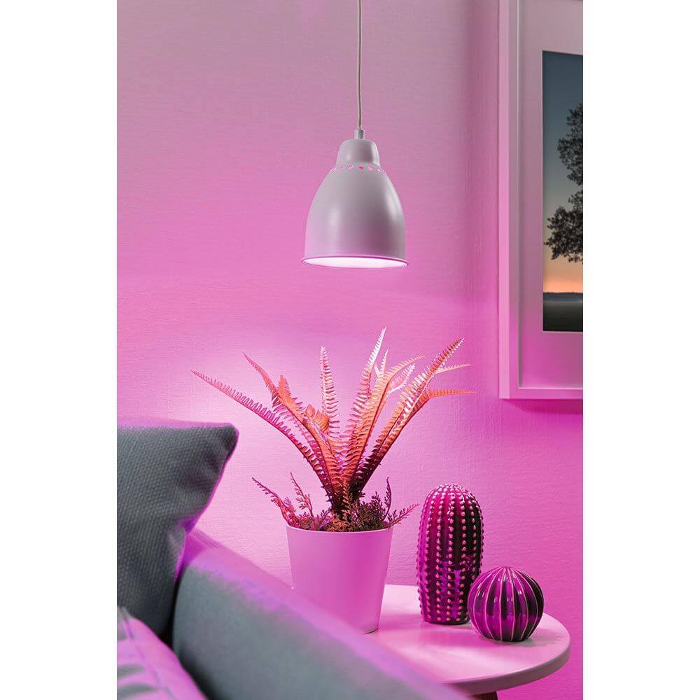 Neordic Pendelleuchte Hilla Weiß Metall mit pinker Beleuchtung neben einer Pflanze.