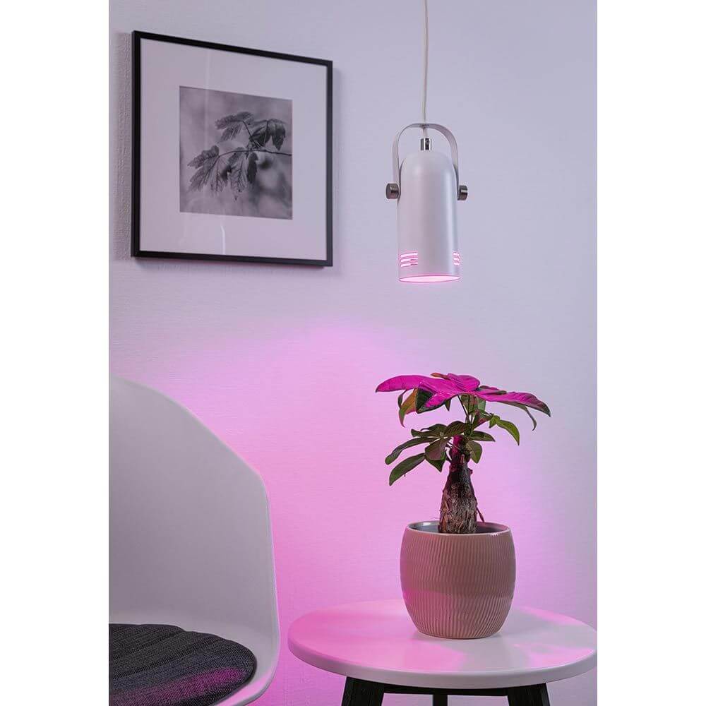 Neordic Pendelleuchte Lavea Weiß Dimmbar Metall über einer Pflanze in einer modernen Wohnung