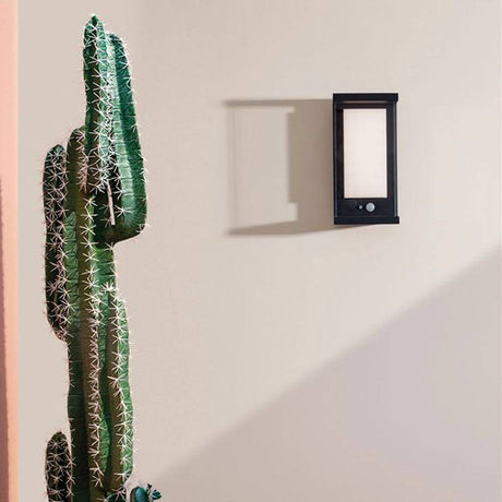 Bay wall solar light with motion sensor on a wall, next to a tall cactus.