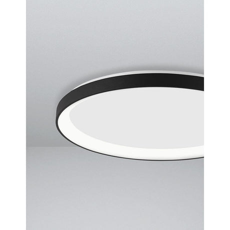 Pertino LED Deckenleuchte Ø 38cm Acryl in modernem Design mit schwarzem Rand und integriertem Leuchtmittel.