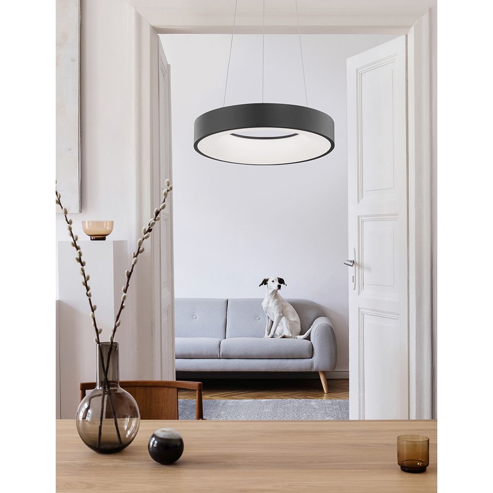 Moderne Rando LED Thin Hängelampe in einem stilvollen Wohnzimmer mit Hund auf dem Sofa.