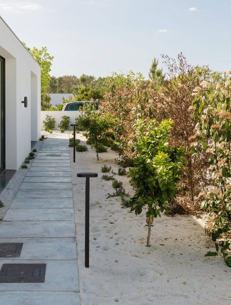 Ofir LED outdoor path light 3000K black IP54 in a garden on a sandy path between plants.
