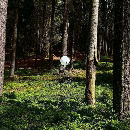 Ein weißer Ballon steht allein im Wald zwischen hohen Bäumen und grünem Unterholz.