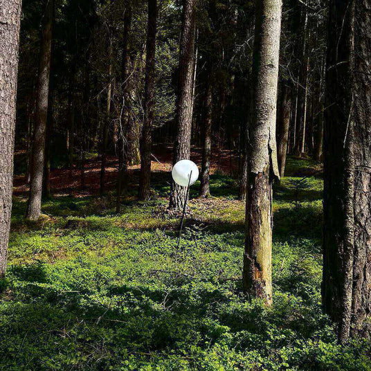 Ein weißer Ballon steht allein im Wald zwischen hohen Bäumen und grünem Unterholz.